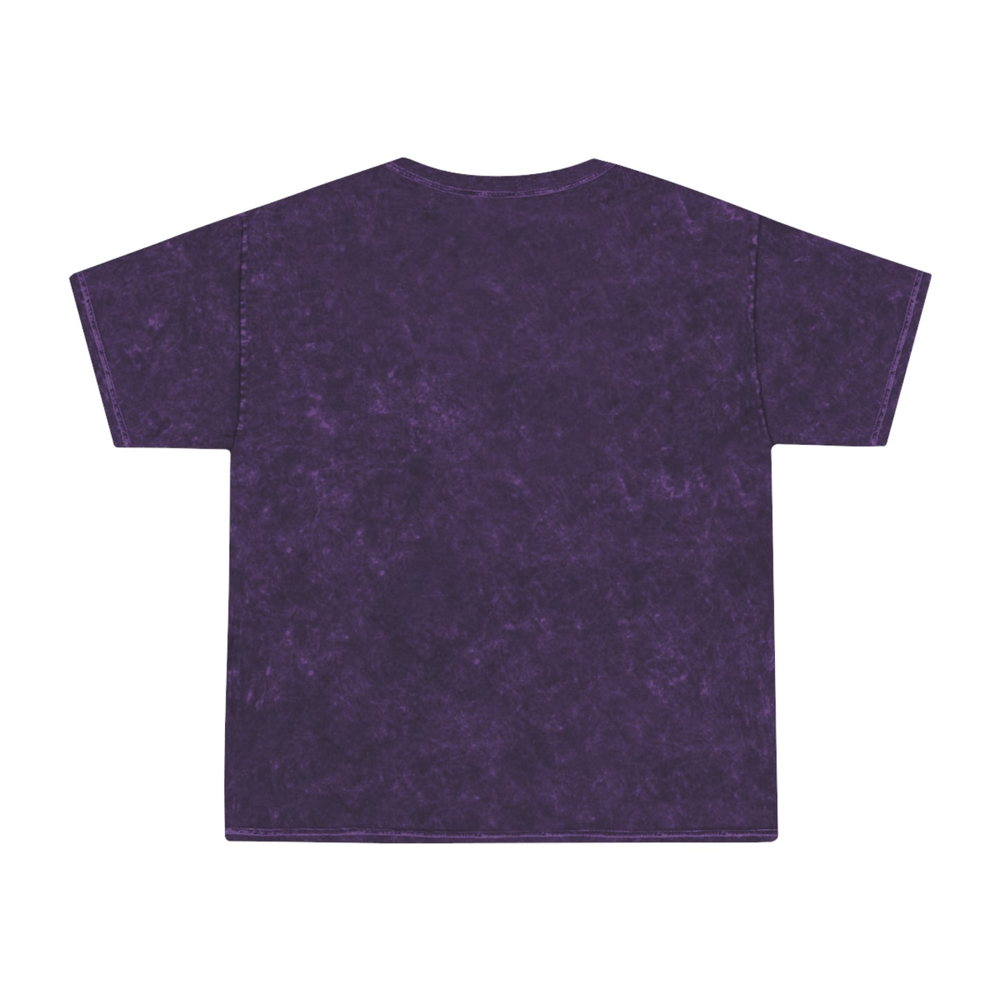 Mineral Wash Old School Rockwall R T-Shirt