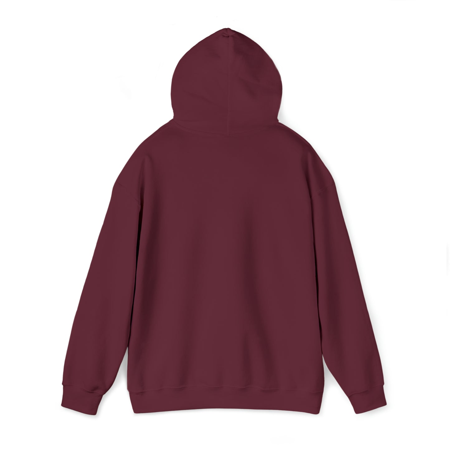 Football Season Fun Hoodie