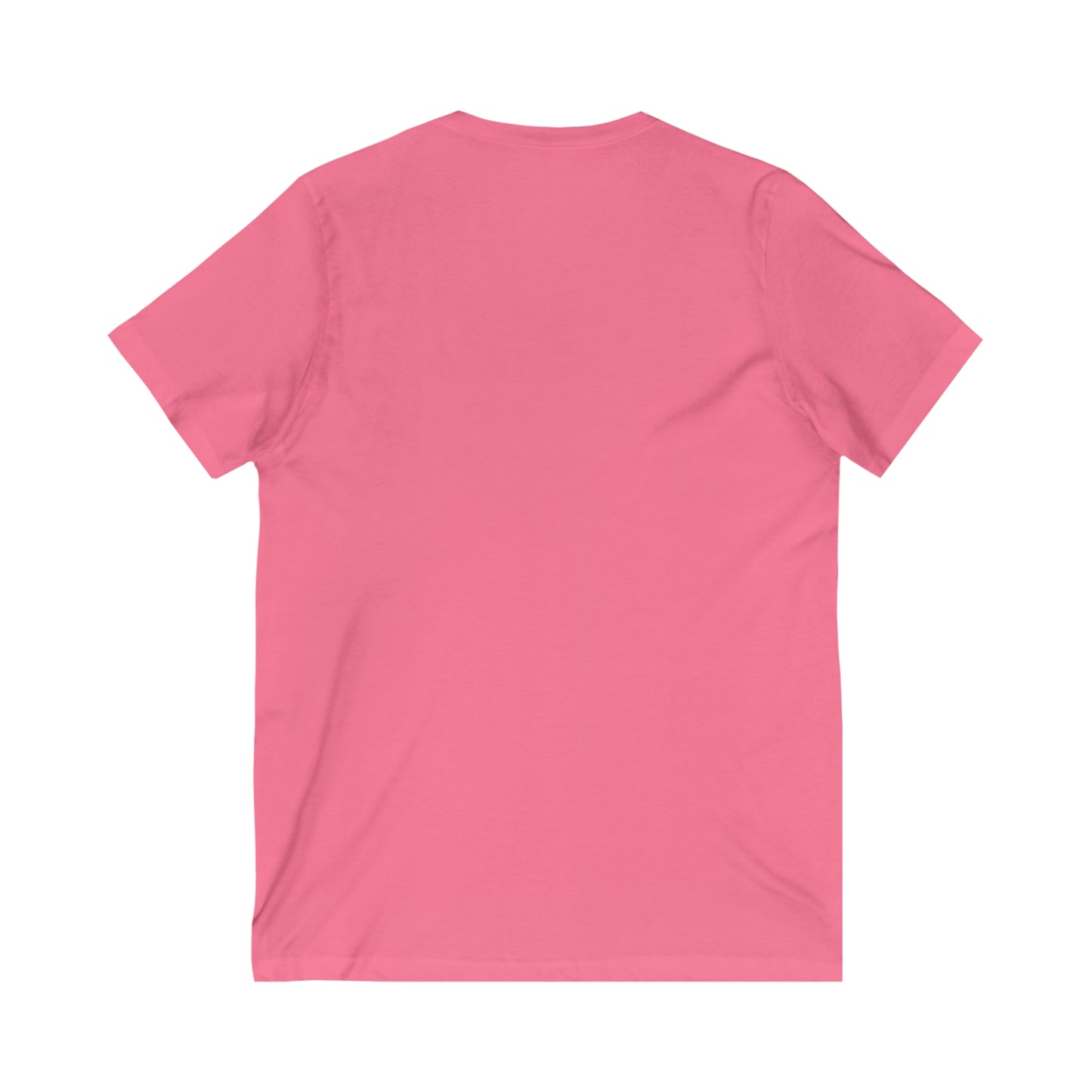 Second Grade Fun Unisex V-Neck Tee