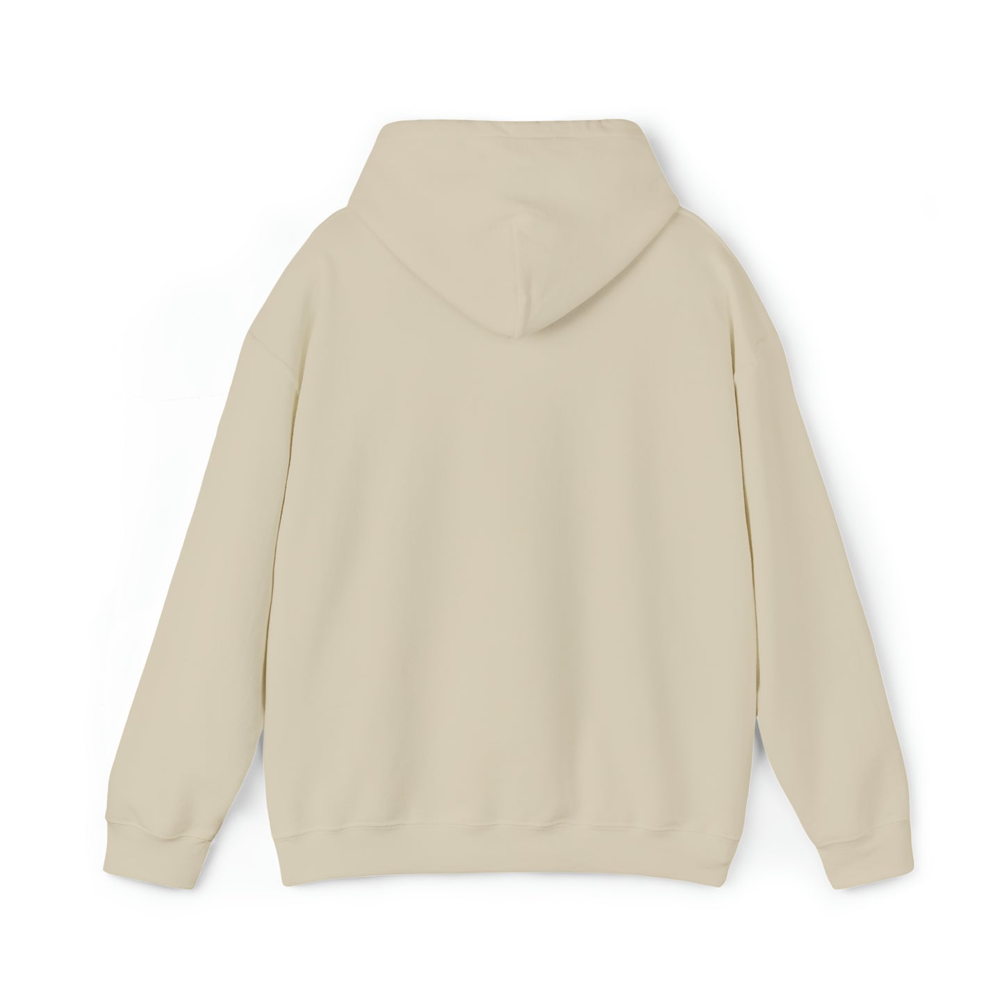 Football Season Fun Hoodie