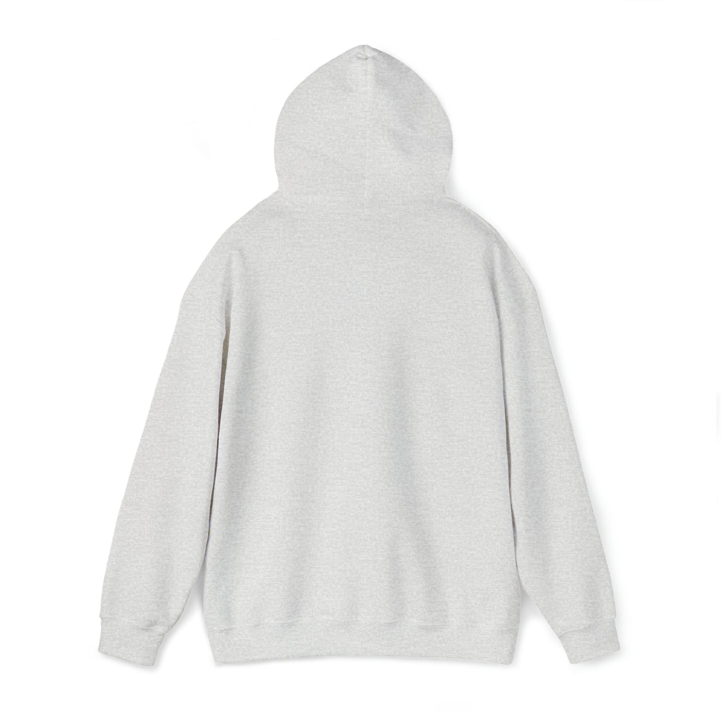 Football Season Fun Hoodie