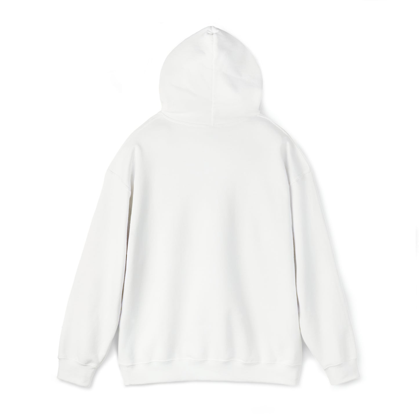 Football Season Fun Hoodie