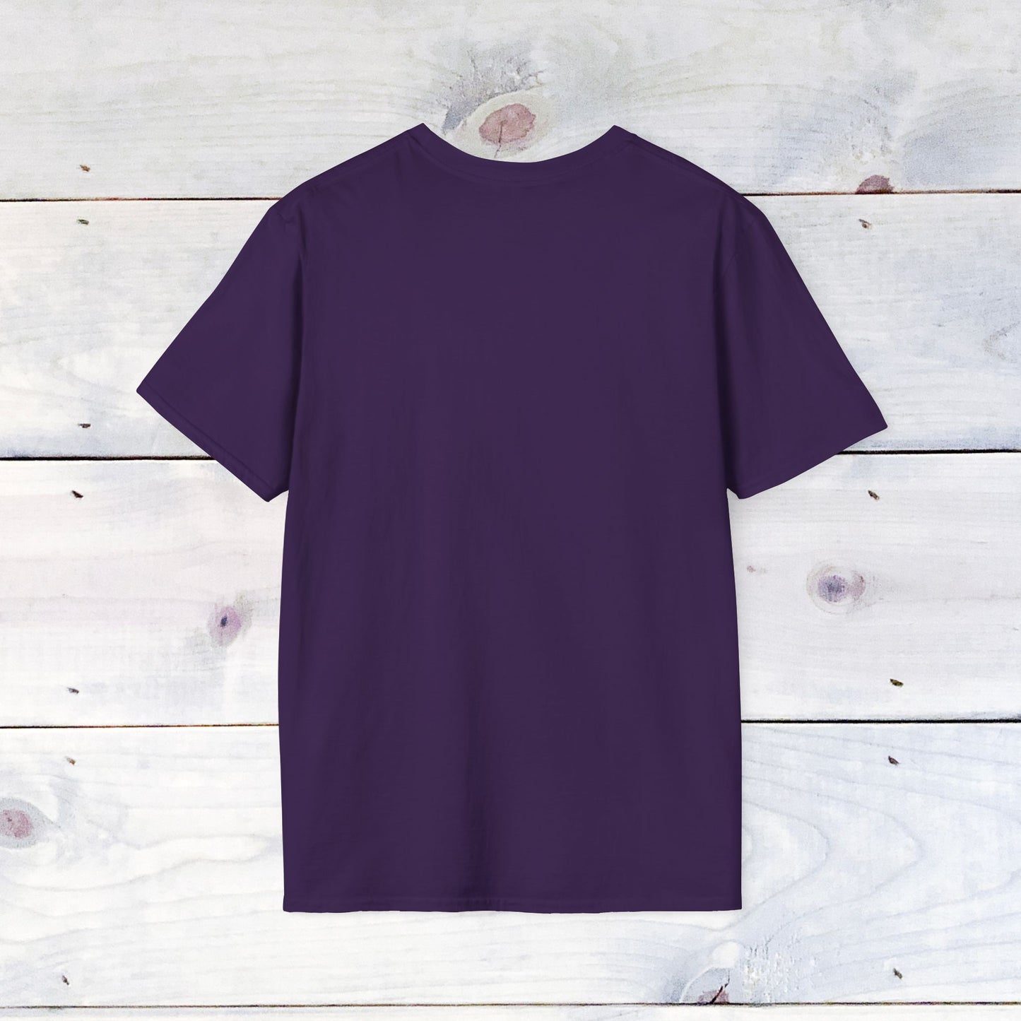 SFBL SZN Unisex Softstyle T-Shirt