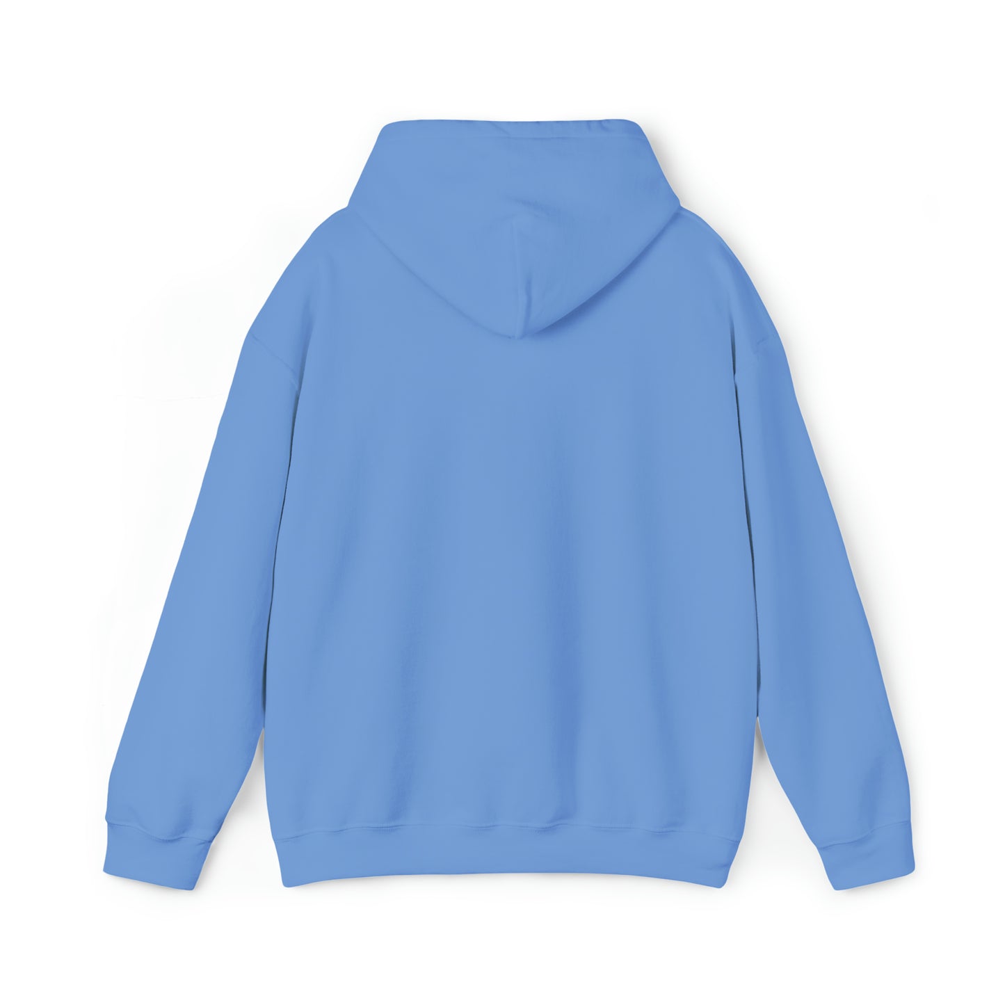 Football Season Fun Hoodie