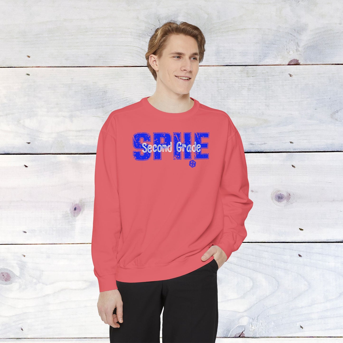 Second Grade Hamm Custom Comfort Colors Sweater