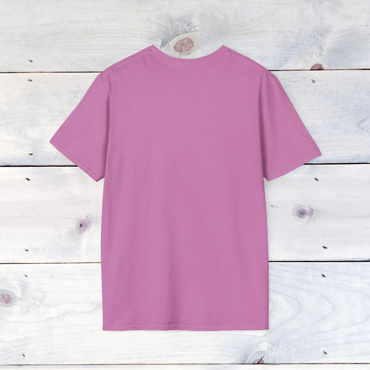 SFBL Drip T Shirt
