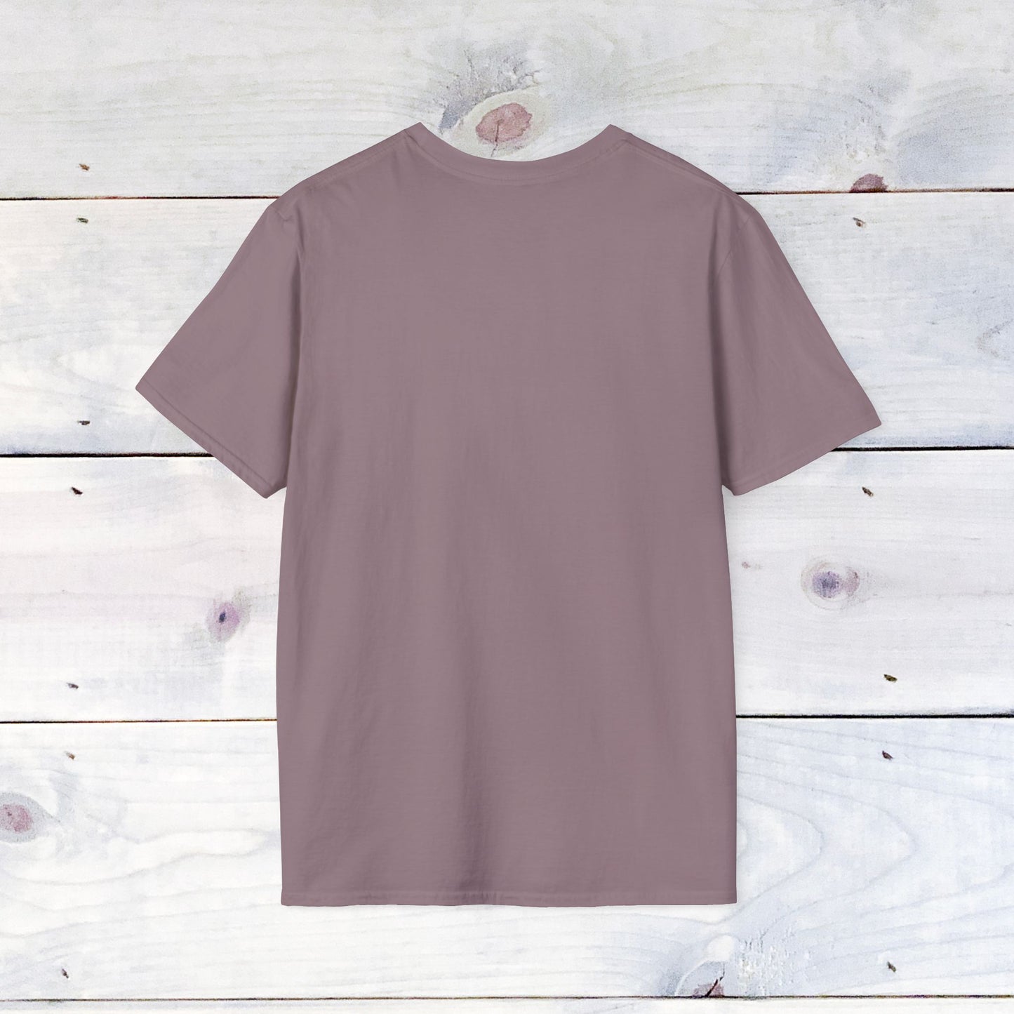 SFBL SZN Unisex Softstyle T-Shirt