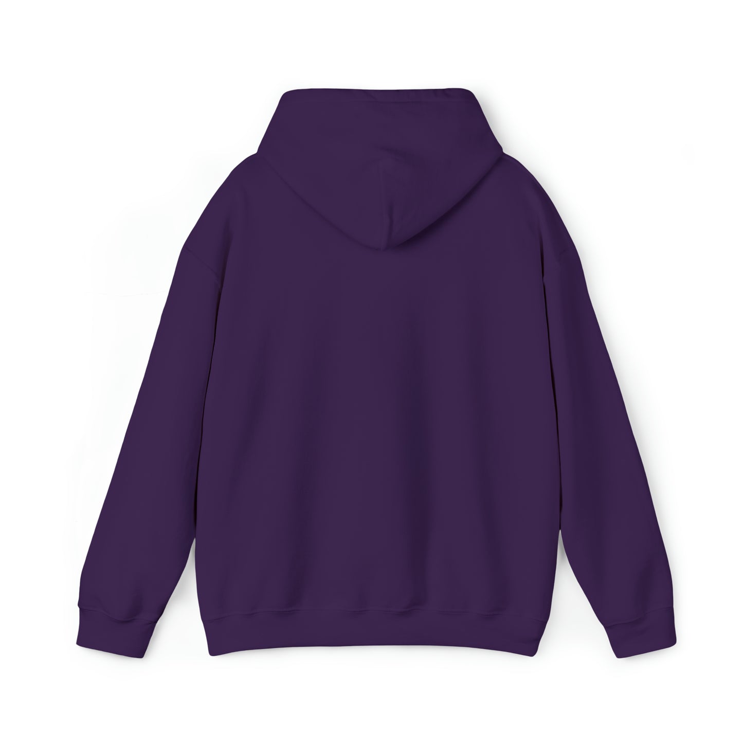 Football Season Fun Hoodie