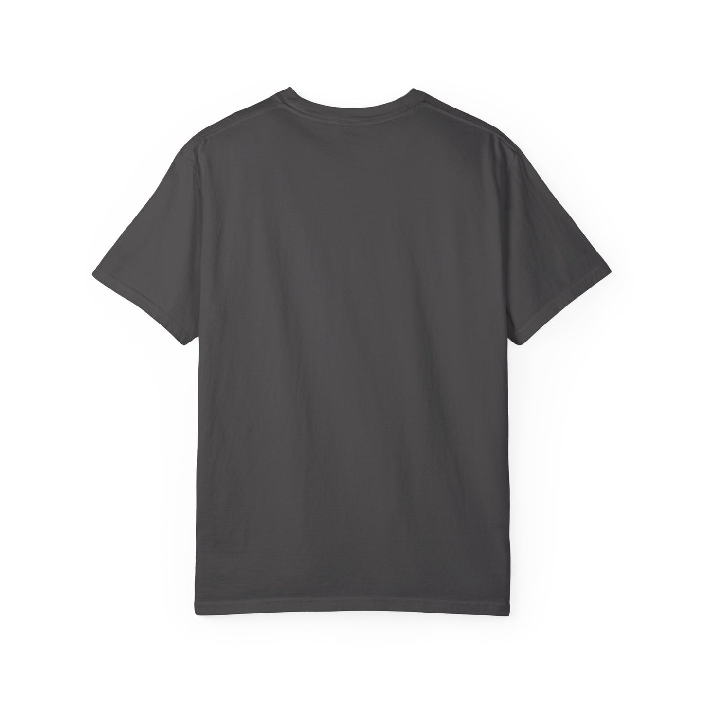 Patriotic Raccoon Comfort Colors  - America