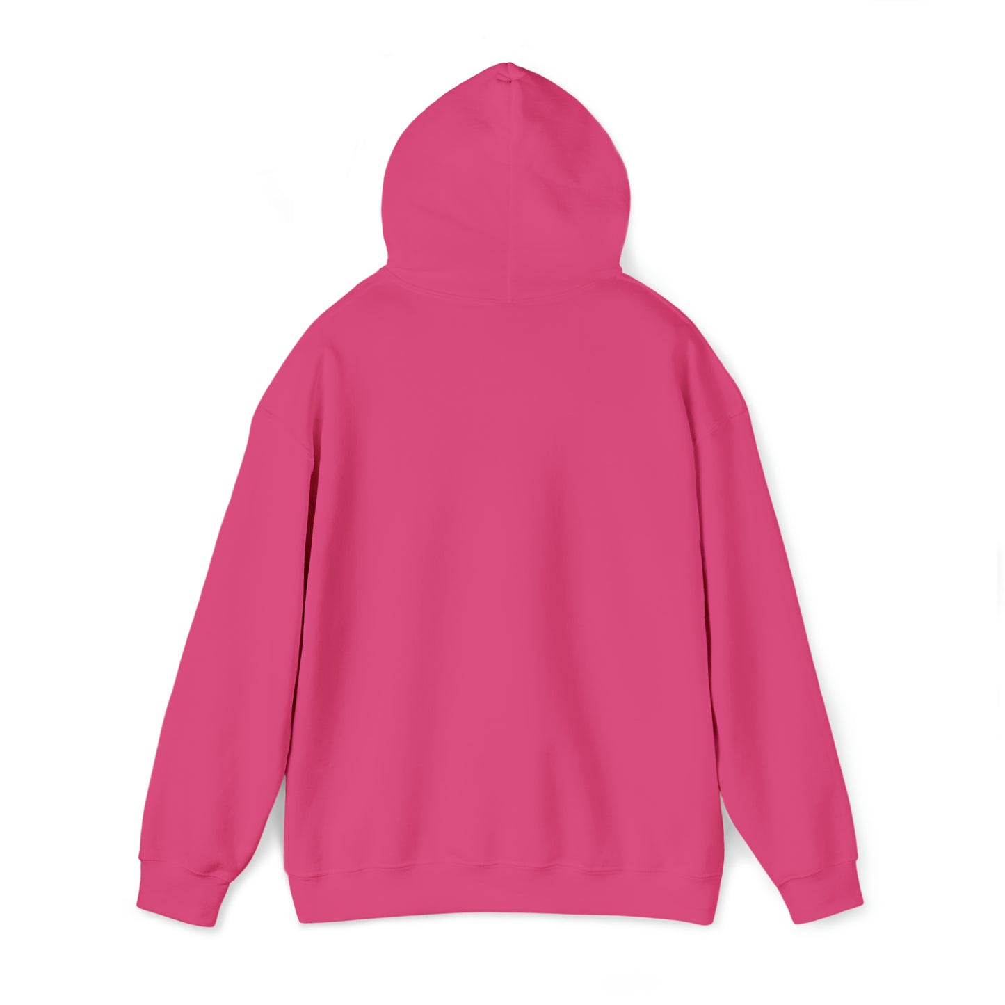 Football Season Fun Hoodie