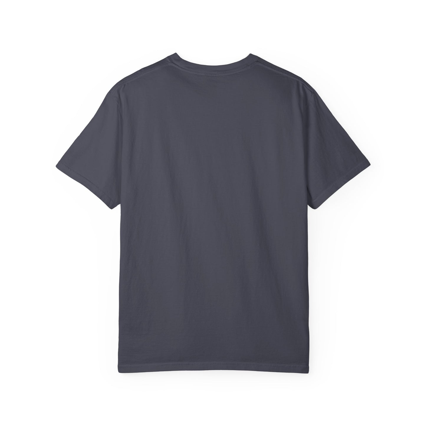 Patriotic Raccoon Comfort Colors  - America