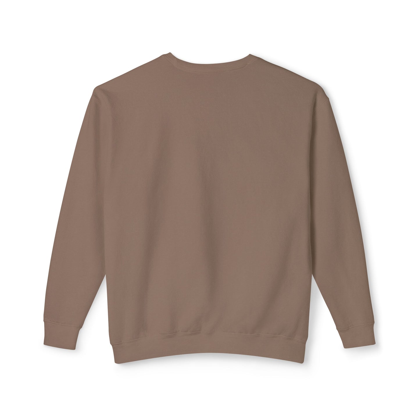 Sunshine, Seashells, Saltwater Comfort Colors Sweater