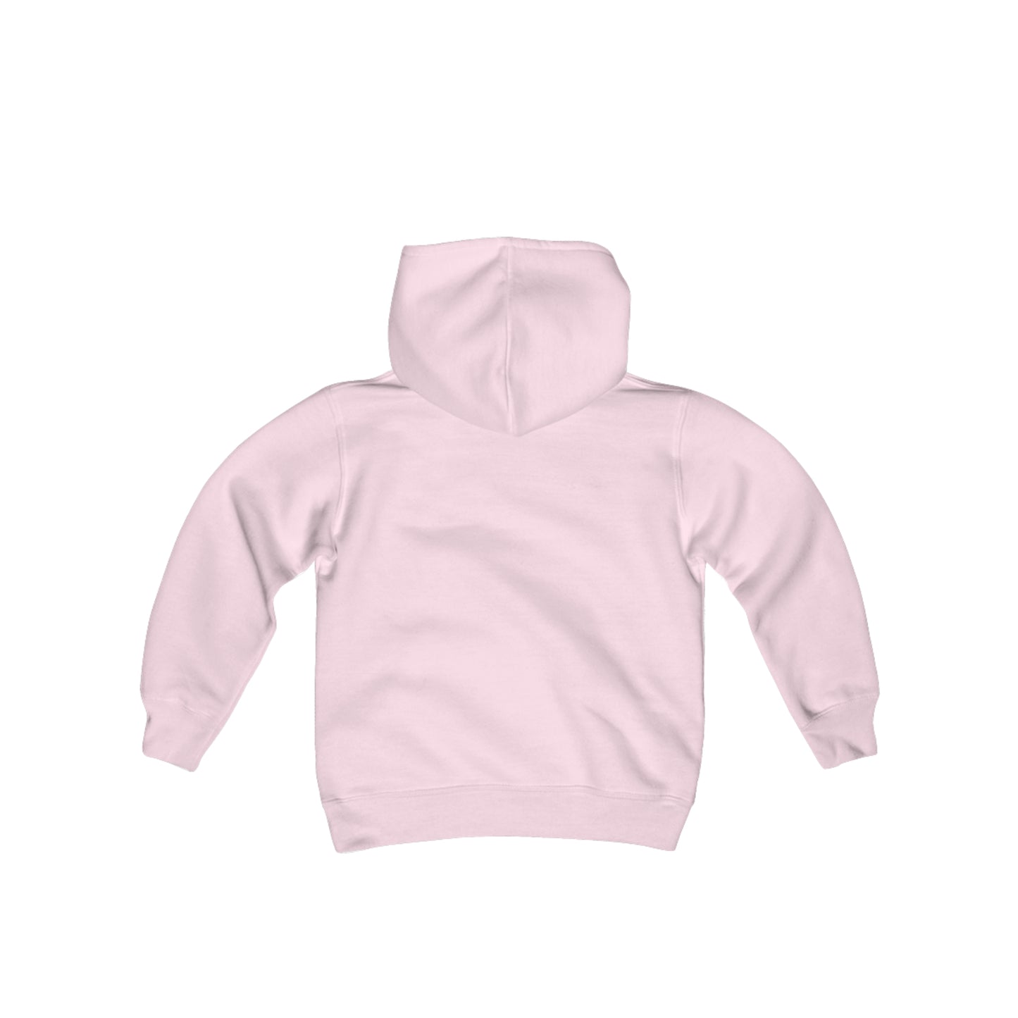 Youth Win the Day Hawks Hoodie