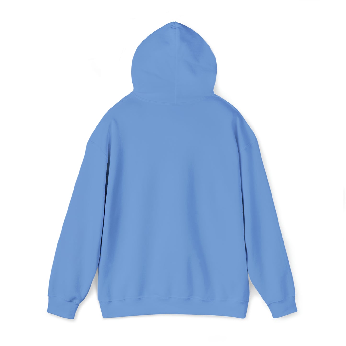 Football Season Fun Hoodie