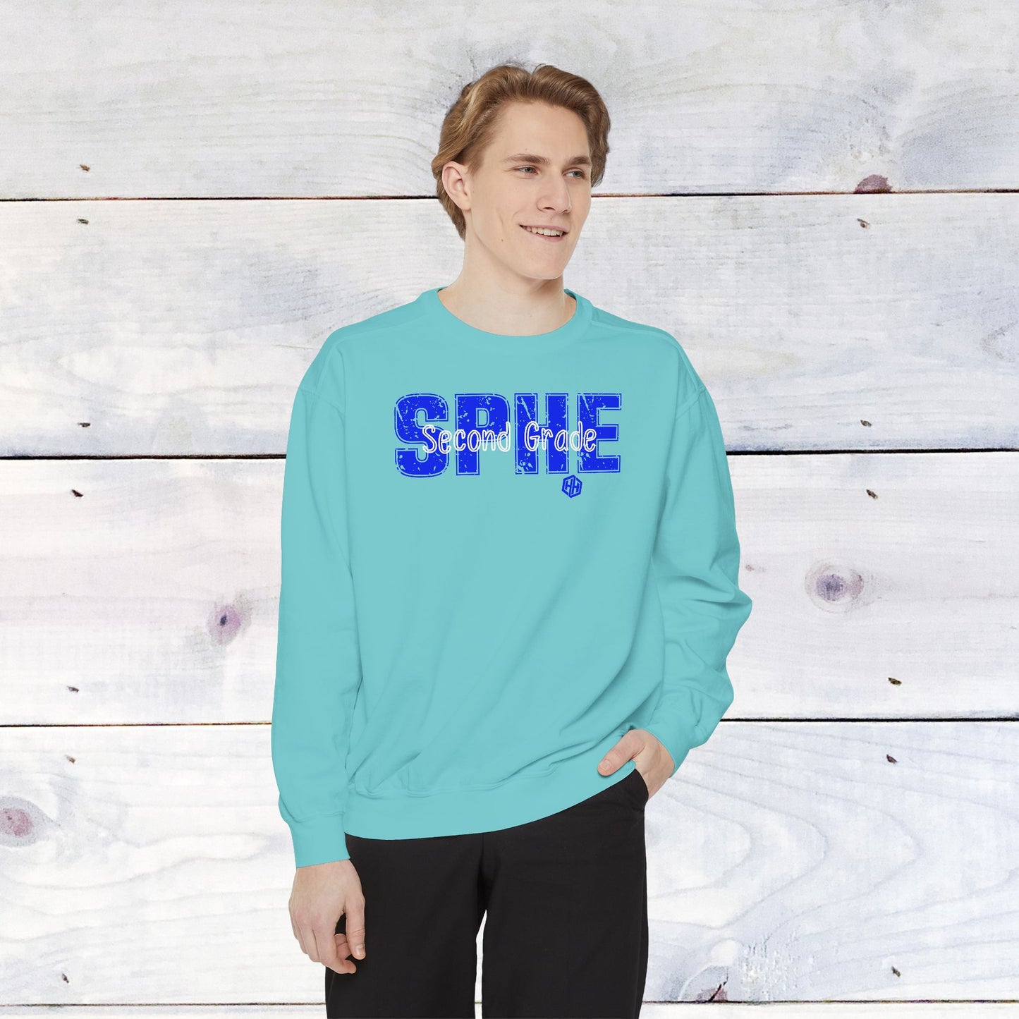 Second Grade Hamm Custom Comfort Colors Sweater