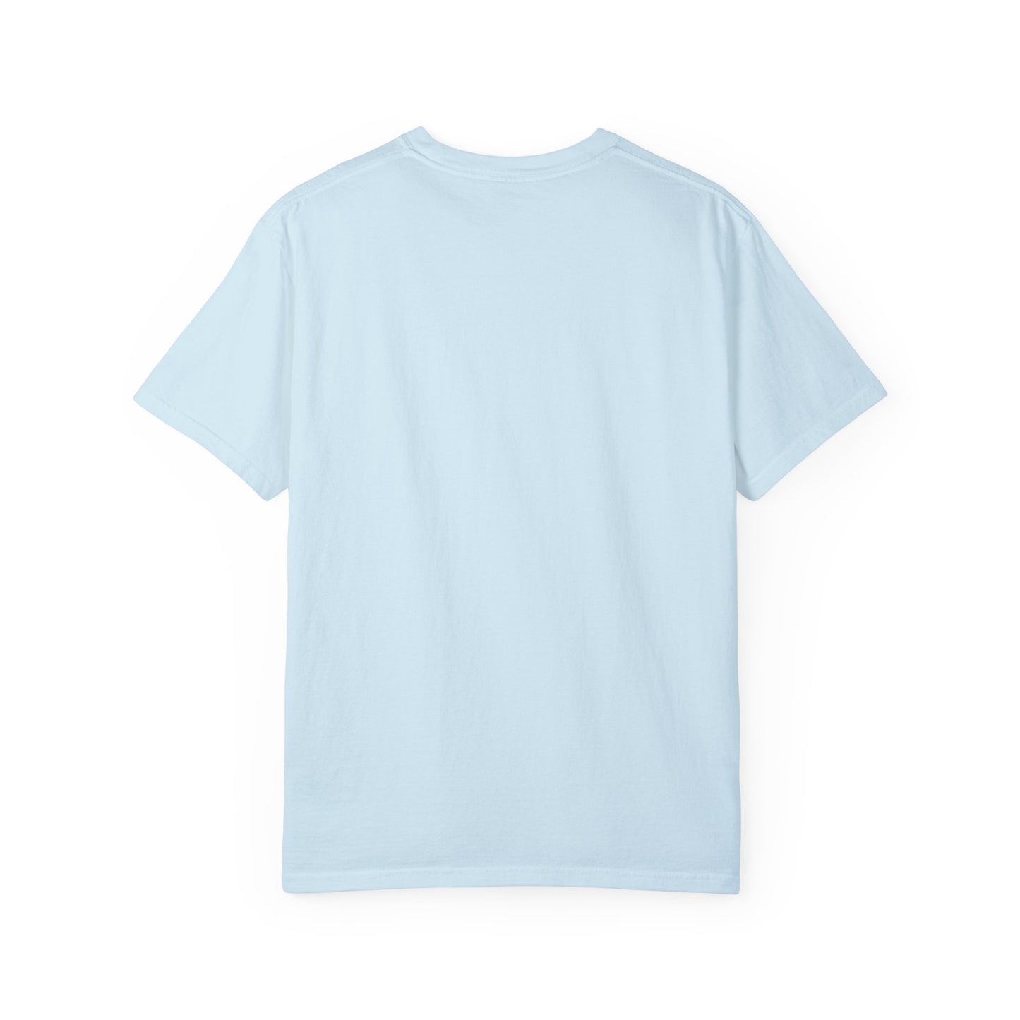White Saltwater, Seashells, Sunshine Comfort Colors Tee