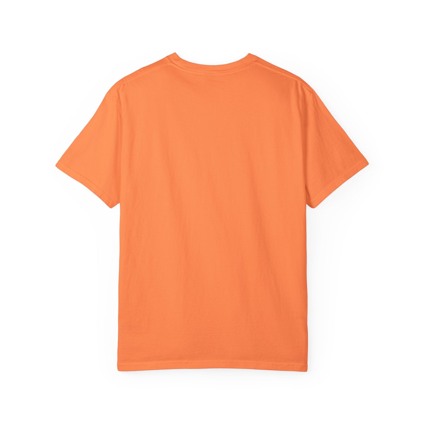 White Saltwater, Seashells, Sunshine Comfort Colors Tee