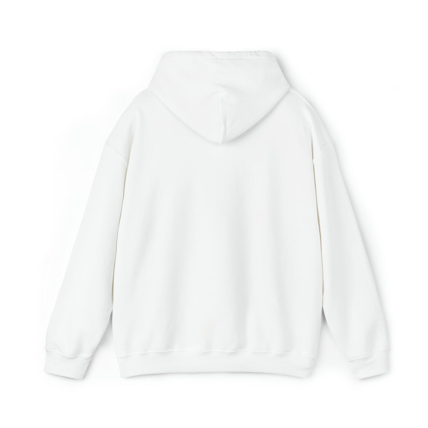 Football Season Fun Hoodie