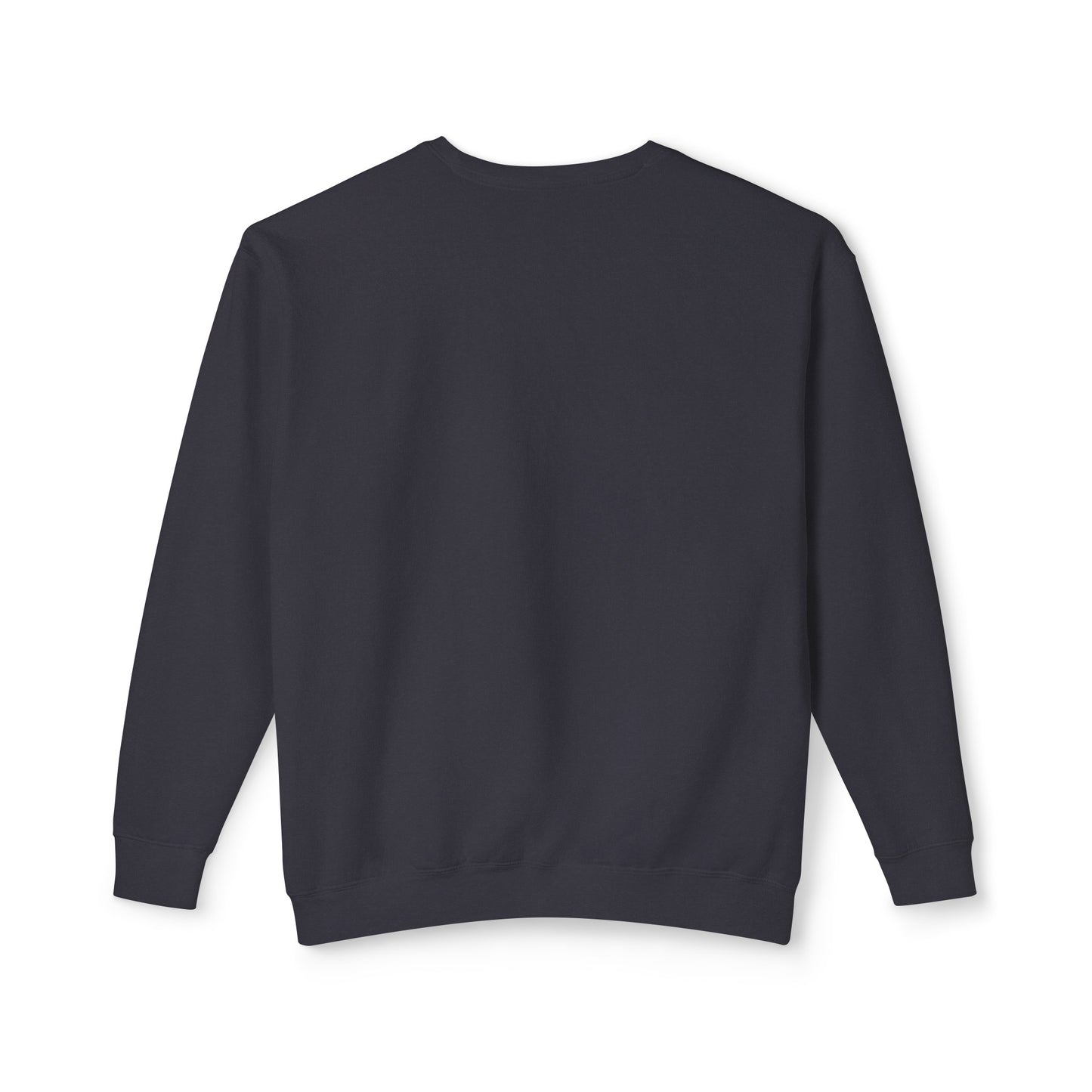 Sunshine, Seashells, Saltwater Comfort Colors Sweater