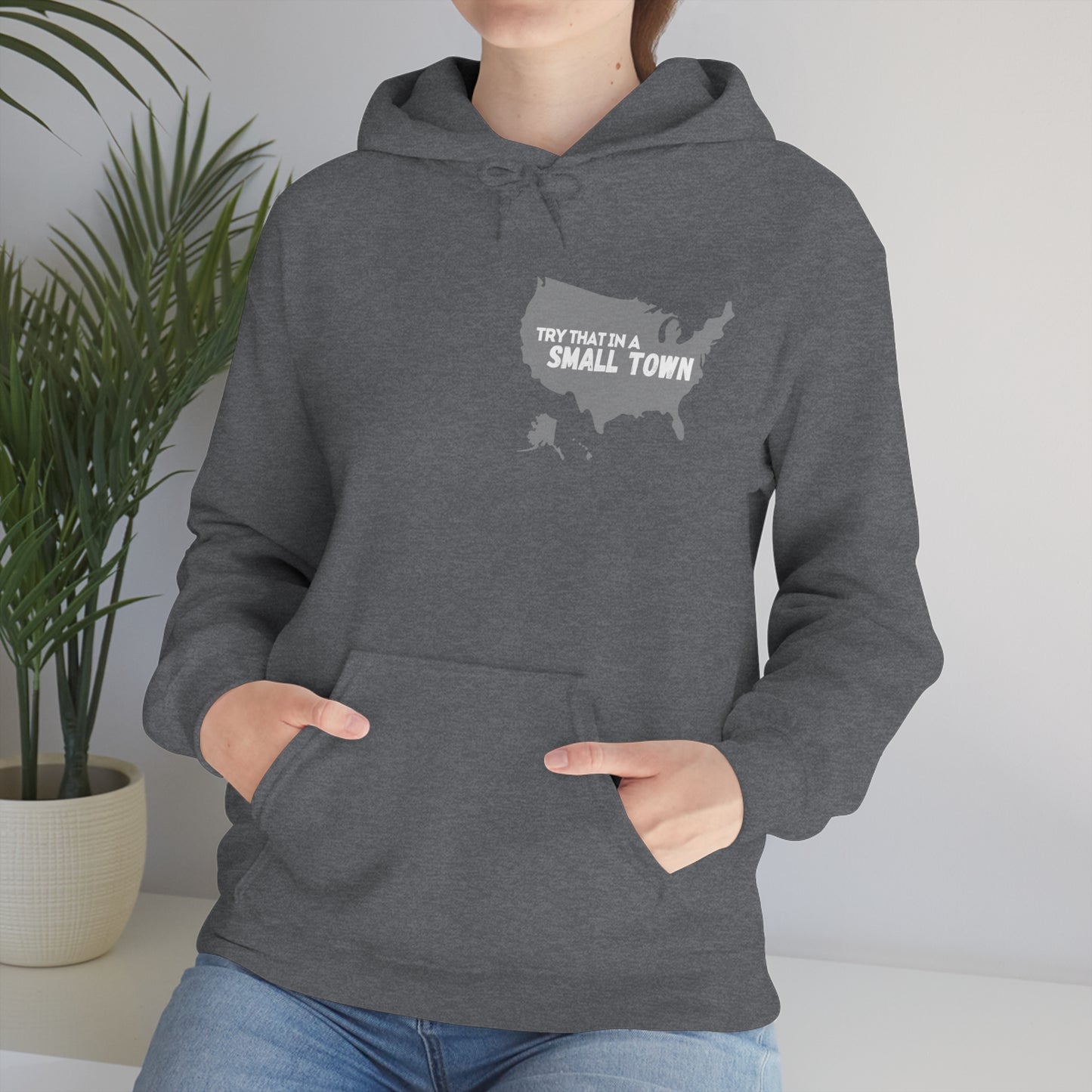 USA/Try That in a Small Town - Aldean - Unisex Hoodie