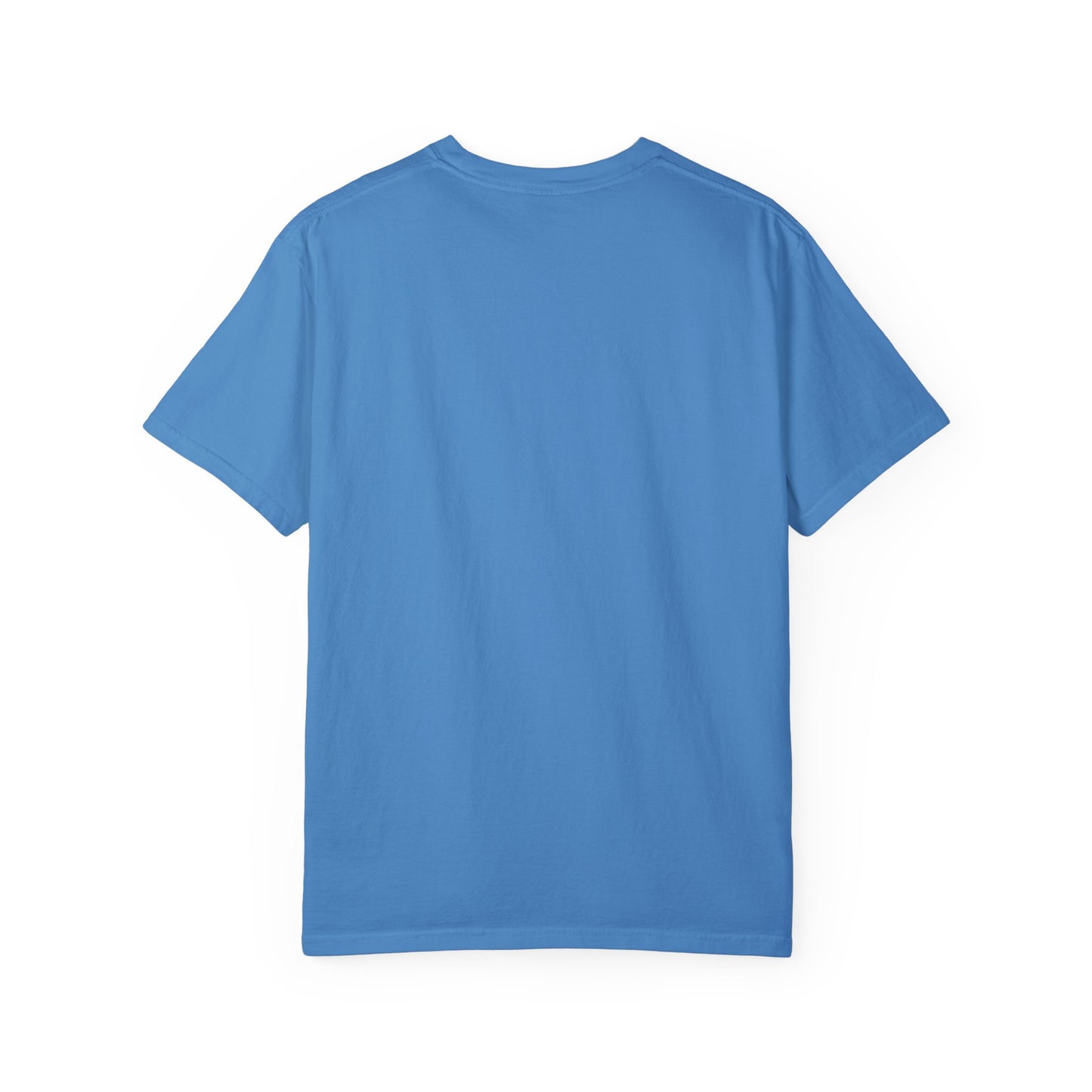 White Saltwater, Seashells, Sunshine Comfort Colors Tee